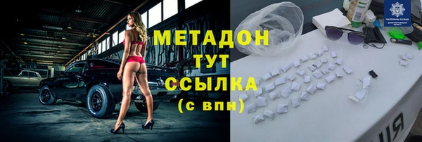 индика Гусев