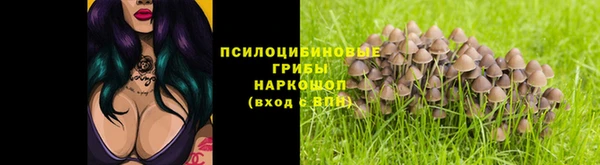 МДПВ Гусь-Хрустальный