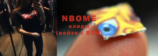индика Гусев