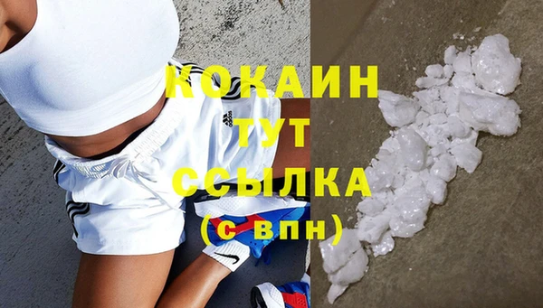 дмт Дмитровск