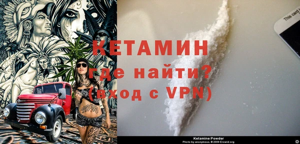 индика Гусев