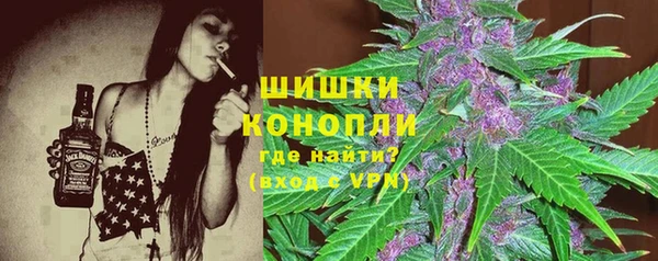 индика Гусев
