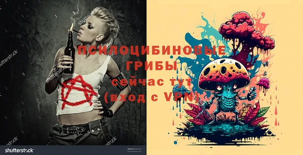 индика Гусев