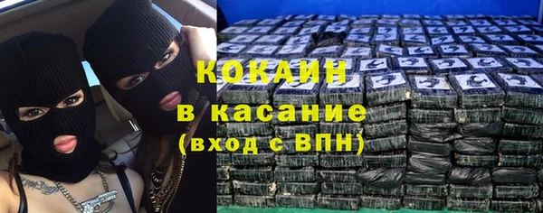 индика Гусев
