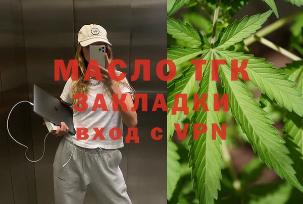 индика Гусев