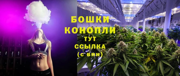 индика Гусев