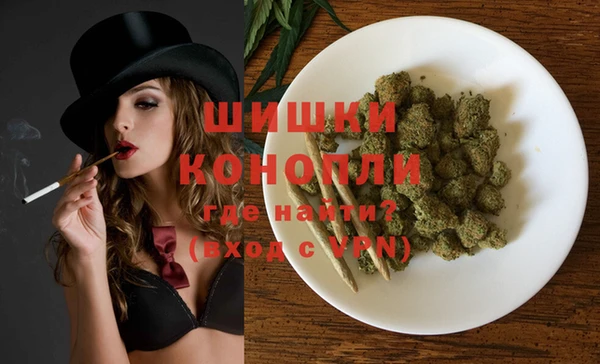 индика Гусев