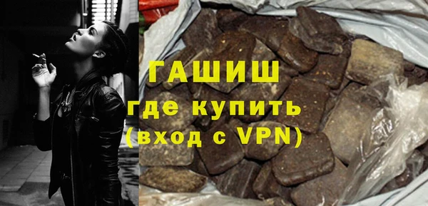 индика Гусев