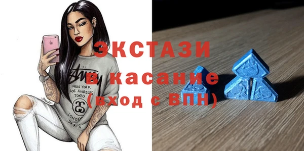 индика Гусев