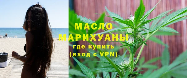 индика Гусев
