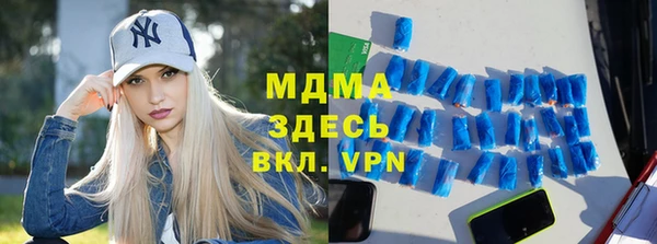 индика Гусев