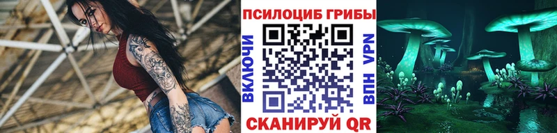 купить наркоту  Чадан  Галлюциногенные грибы Magic Shrooms 